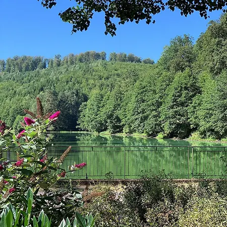 Dans Du Kirchberg Apartamento La Petite-Pierre