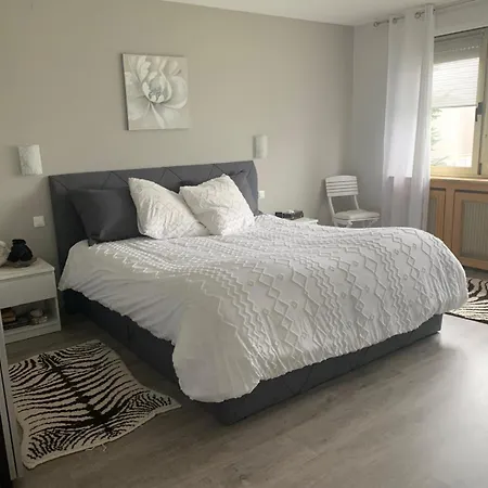 Apartment Dans Du Kirchberg *